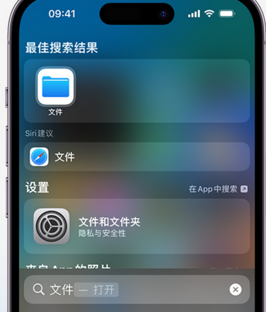 德兴apple维修中心分享iPhone文件应用中存储和找到下载文件