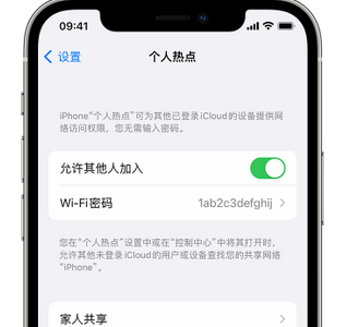 德兴apple服务站点分享iPhone上个人热点丢失了怎么办