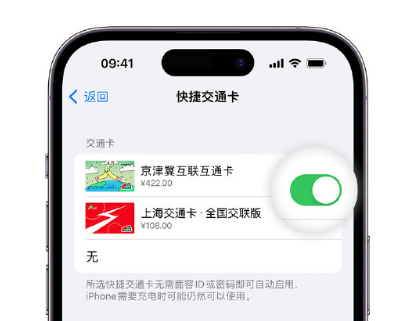 德兴apple维修点分享iPhone上更换Apple Pay快捷交通卡手绘卡面 