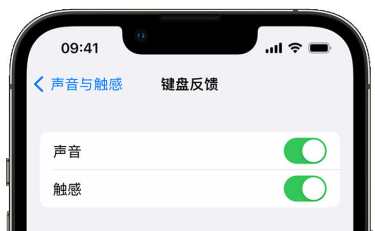 德兴苹果手机维修分享iPhone 14触感键盘使用方法 