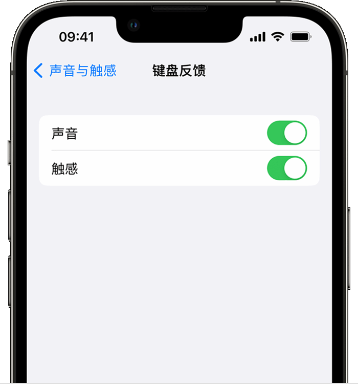 德兴苹果14维修店分享如何在 iPhone 14 机型中使用触感键盘 