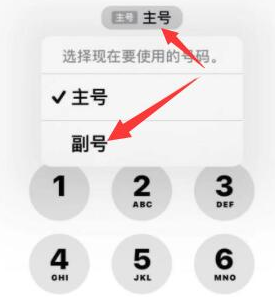 德兴苹果14维修店分享iPhone 14 Pro Max使用副卡打电话的方法 