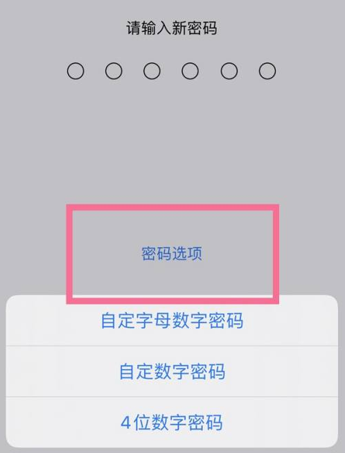 德兴苹果14维修分享iPhone 14plus设置密码的方法 