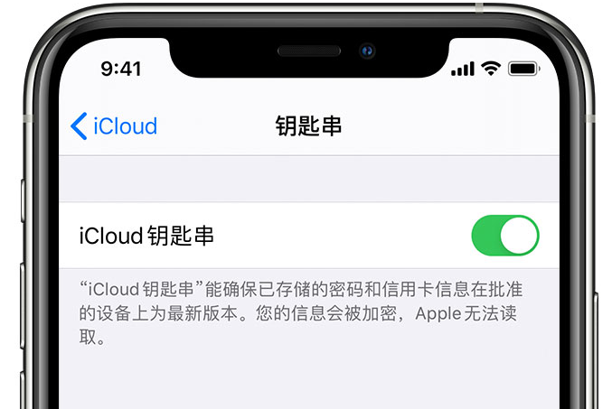 德兴苹果手机维修分享在 iPhone 上开启 iCloud 钥匙串之后会储存哪些信息 