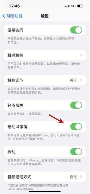 德兴苹果手机维修分享iPhone手机如何设置摇一摇删除文字 